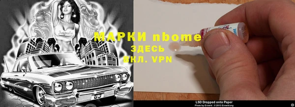 стаф Алзамай