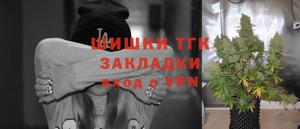 стаф Алзамай
