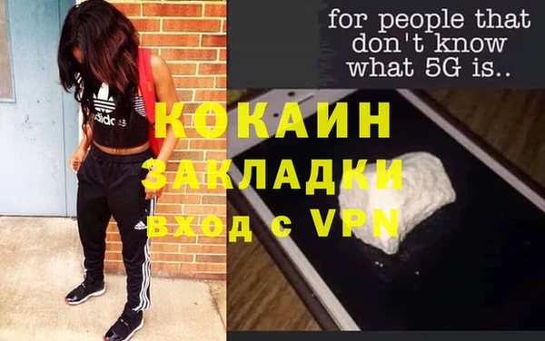 стаф Алзамай