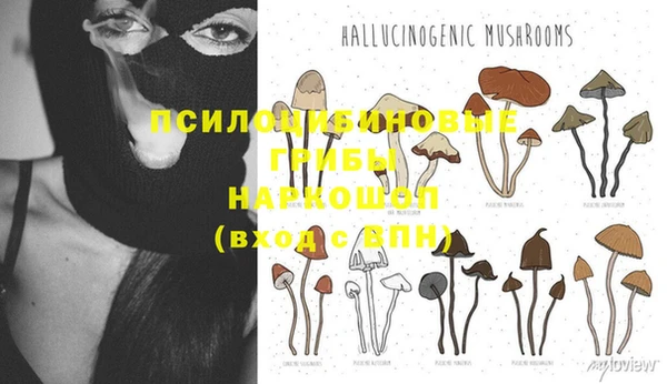 а пвп мука Алексин